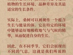 国产无人区一码二码三码区别：功能不同，体验各异