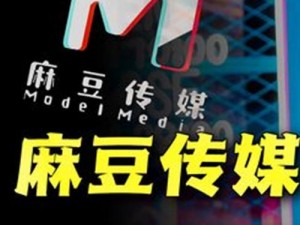 麻花传媒 MV 与其它传媒公司比较——带来更多精彩体验