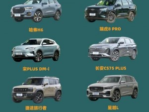 国产一级 SUV 大全，高价比之选，满足你的多样需求