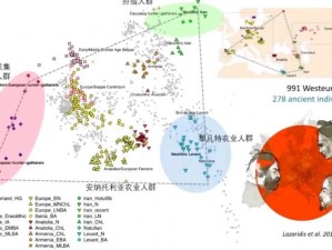 通过对比欧洲人与亚洲人的 DNA，我们可以发现哪些差异和相似之处