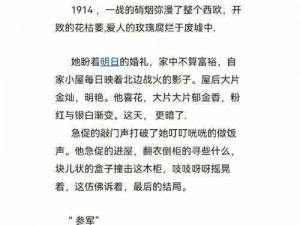 玫瑰战火：深入战争配置需求探讨的详细解析