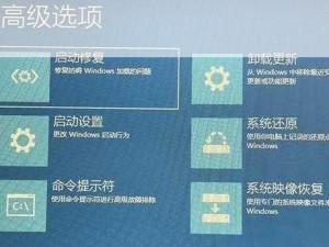 暗黑血统2贴图错误解决指南：优化图像设置，修复加载故障