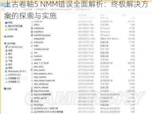 上古卷轴5 NMM错误全面解析：终极解决方案的探索与实施