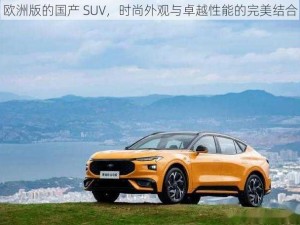 欧洲版的国产 SUV，时尚外观与卓越性能的完美结合