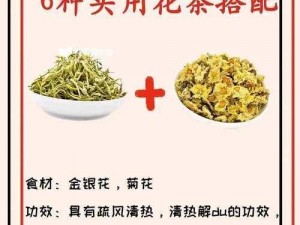 父爱难消金银花，清热降火真行家