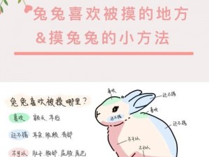 数学老师的兔耳朵又软又舒服，学生们都很喜欢摸