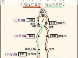 阴真经各门派108周天属性全方位解析与概览