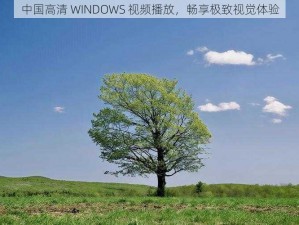 中国高清 WINDOWS 视频播放，畅享极致视觉体验