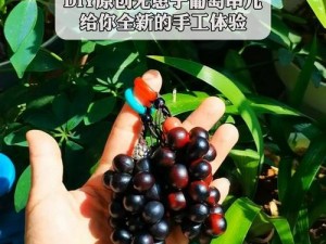 提枪直入两扇门视频，高品质用品，给你全新体验