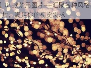 夜里 18 款禁用图片——汇聚各种风格的高清图片，满足你的视觉需求