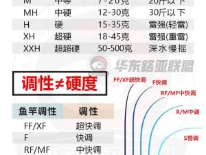 薇薇安与骑士冒险启航：新手入门全攻略汇总