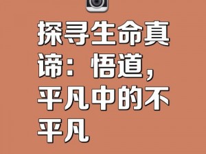 以我之经验，探寻世界修补之道：如何修成内心坚韧的自我