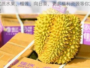 优质水果、榴莲、向日葵，更多福利资源等你发现