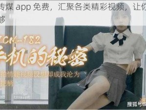 麻豆传煤 app 免费，汇聚各类精彩视频，让你一次看个够