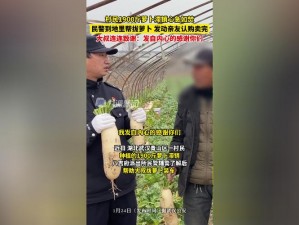 拔萝卜打牌不盖铺智能家用游戏机，连接电视即玩，操作简单，支持双人对战，是亲朋好友聚会时的娱乐好物