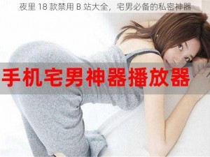 夜里 18 款禁用 B 站大全，宅男必备的私密神器