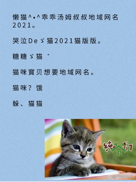 新版猫咪地域网名入口下载——一键获取猫咪专属网名，彰显个