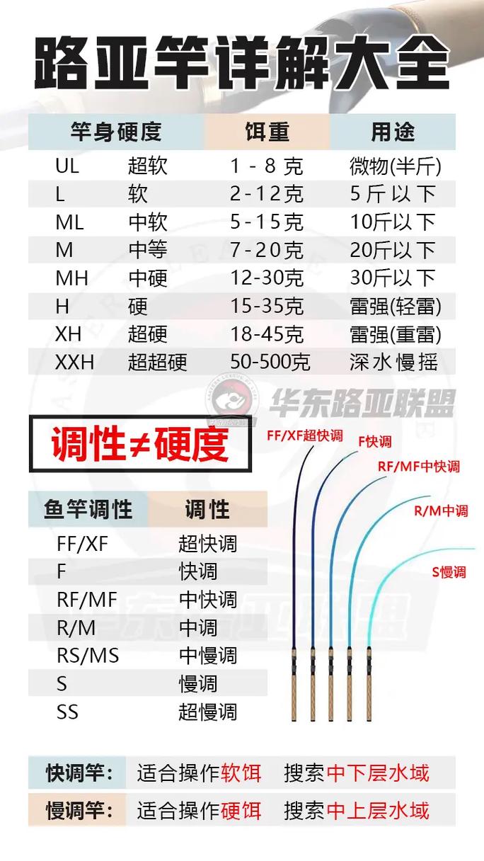 薇薇安与骑士冒险启航：新手入门全攻略汇总