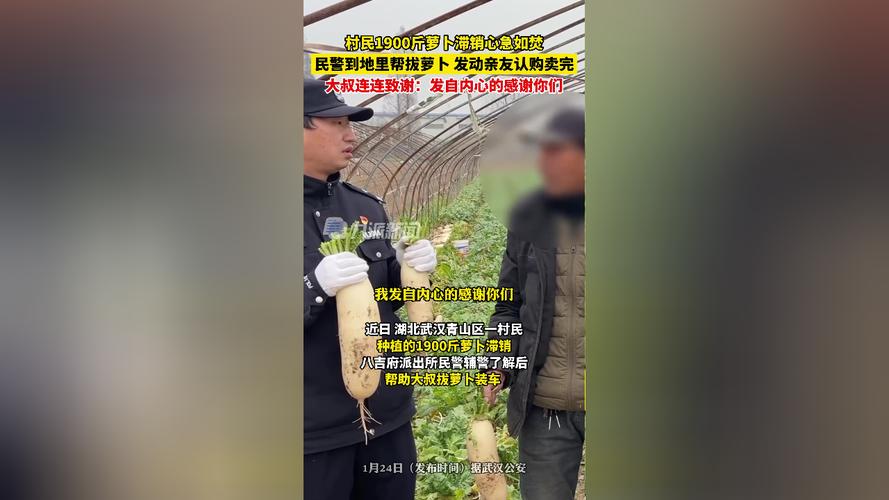 拔萝卜打牌不盖铺智能家用游戏机，连接电视即玩，操作简单，支持双人对战，是亲朋好友聚会时的娱乐好物