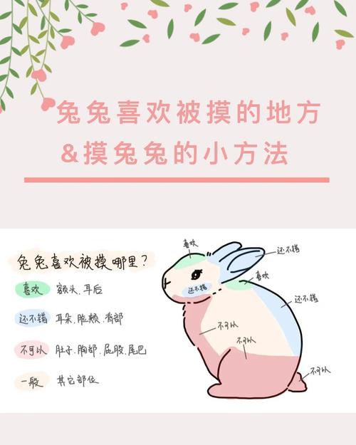 数学老师的兔耳朵又软又舒服，学生们都很喜欢摸