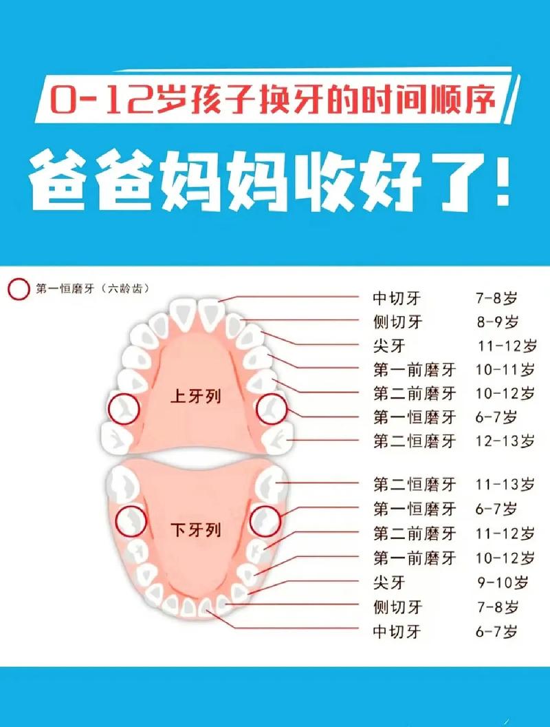 一款适合 12 岁女孩的BD产品，能满足孩子的各种需求