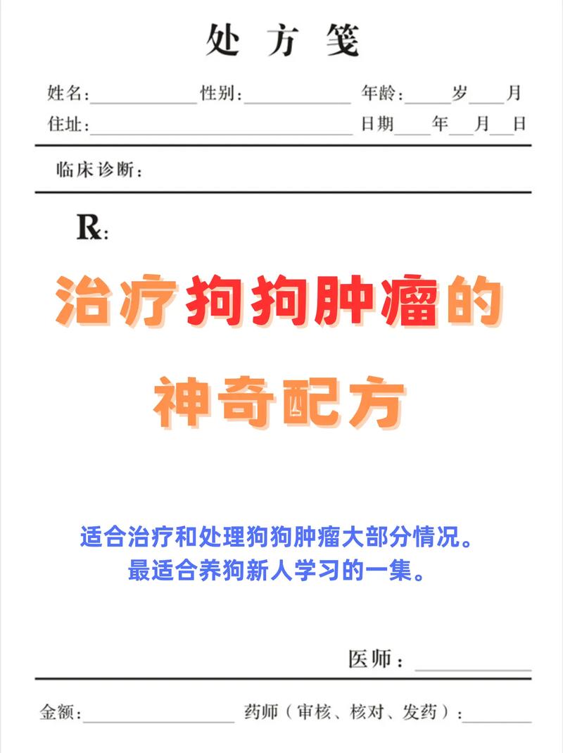 探索人狗胶配方大全免费天气预报，专业配方，助你轻松养狗