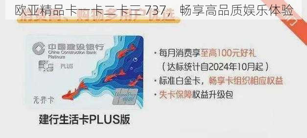 欧亚精品卡一卡二卡三 737，畅享高品质娱乐体验