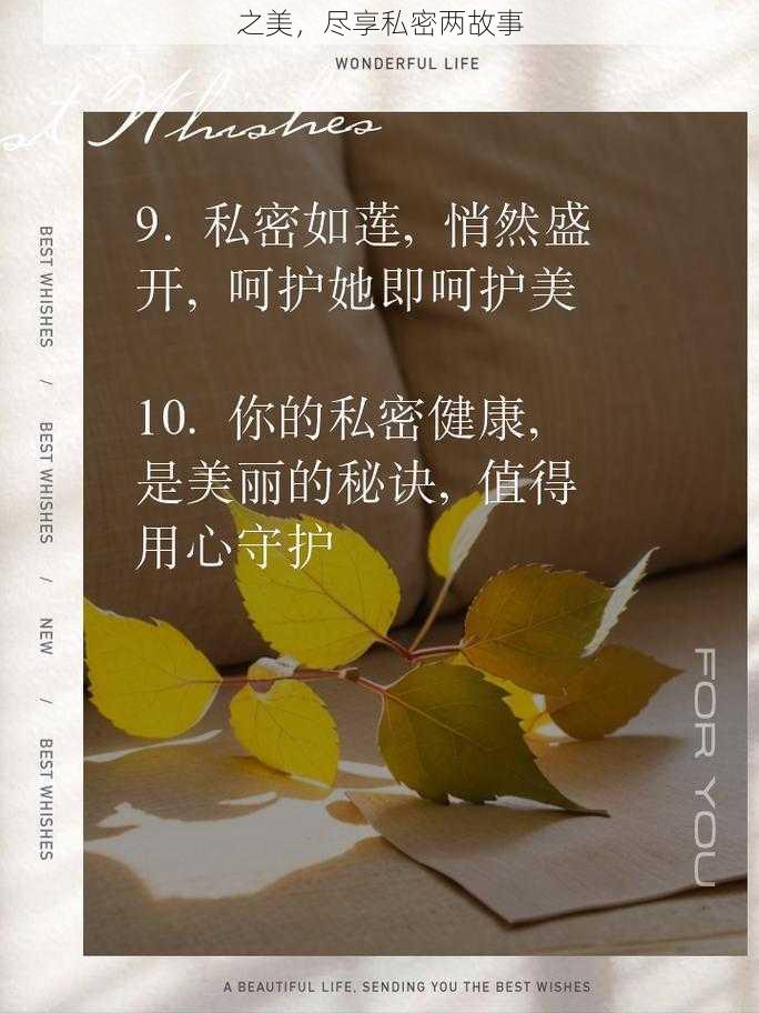 之美，尽享私密两故事