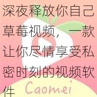 深夜释放你自己草莓视频，一款让你尽情享受私密时刻的视频软件