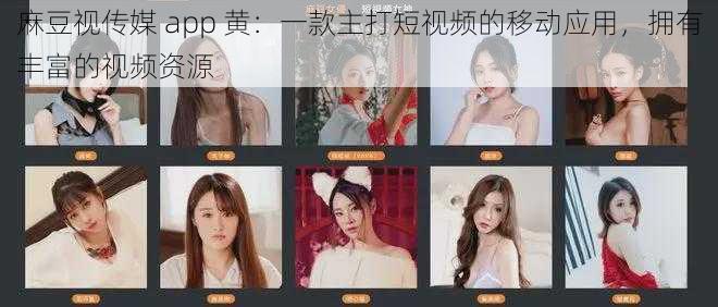 麻豆视传媒 app 黄：一款主打短视频的移动应用，拥有丰富的视频资源