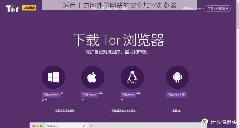适用于访问外国网站的安全加密浏览器