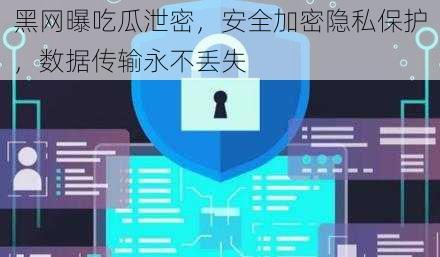 黑网曝吃瓜泄密，安全加密隐私保护，数据传输永不丢失