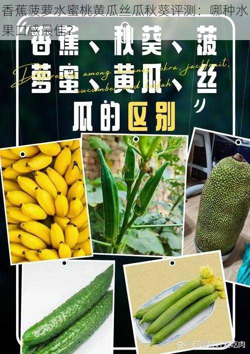 香蕉菠萝水蜜桃黄瓜丝瓜秋葵评测：哪种水果口感最佳？