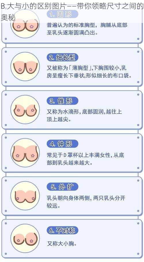 B 大与小的区别图片——带你领略尺寸之间的奥秘