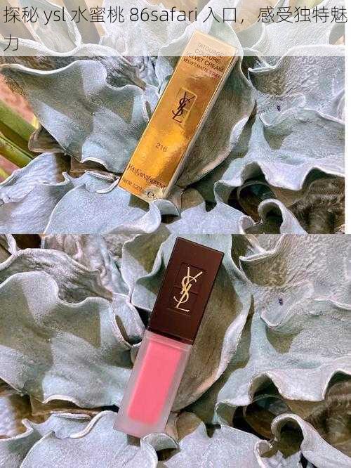 探秘 ysl 水蜜桃 86safari 入口，感受独特魅力