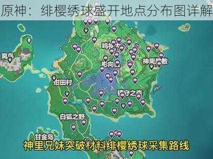 原神：绯樱绣球盛开地点分布图详解