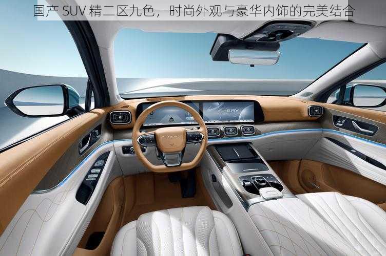 国产 SUV 精二区九色，时尚外观与豪华内饰的完美结合