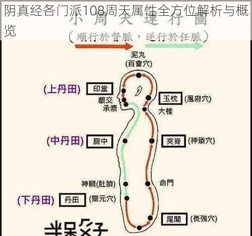 阴真经各门派108周天属性全方位解析与概览