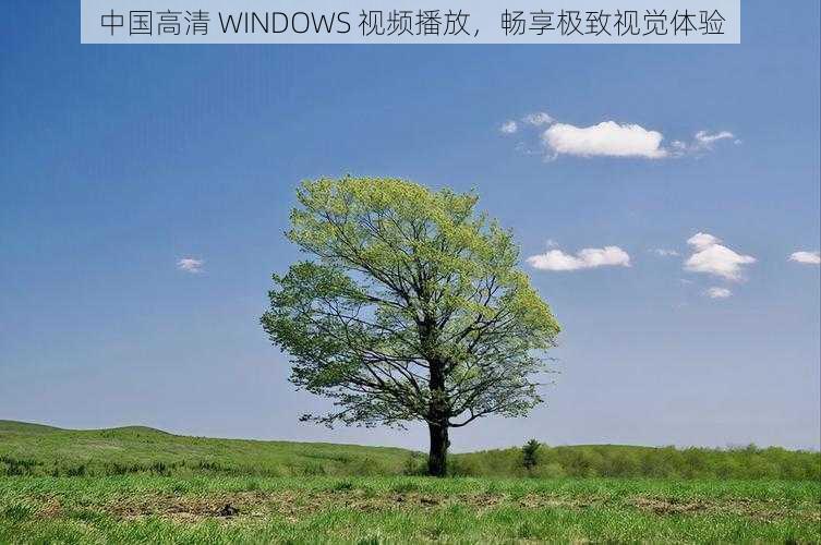 中国高清 WINDOWS 视频播放，畅享极致视觉体验