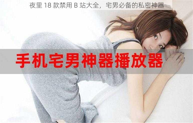 夜里 18 款禁用 B 站大全，宅男必备的私密神器