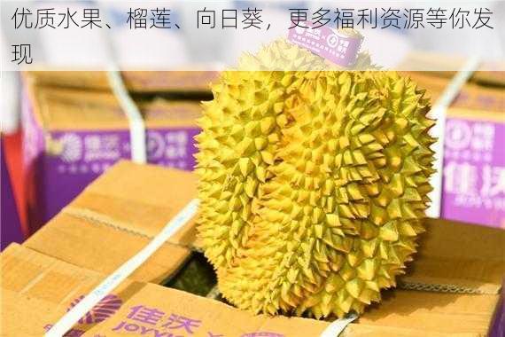 优质水果、榴莲、向日葵，更多福利资源等你发现