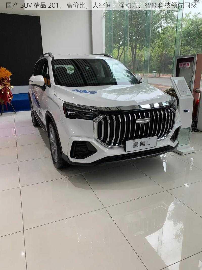 国产 SUV 精品 201，高价比，大空间，强动力，智能科技领先同级