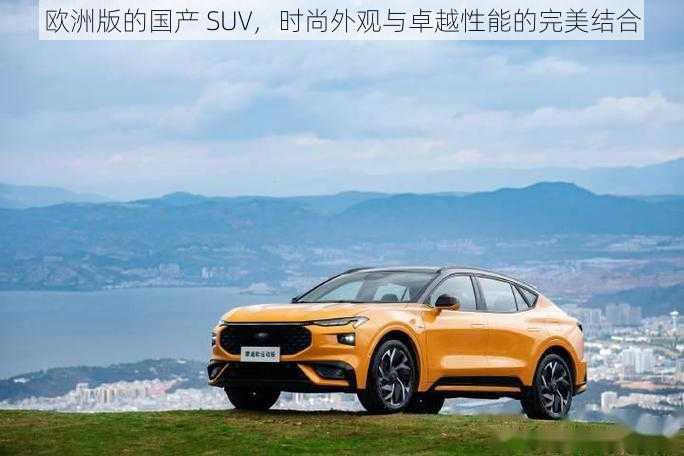 欧洲版的国产 SUV，时尚外观与卓越性能的完美结合