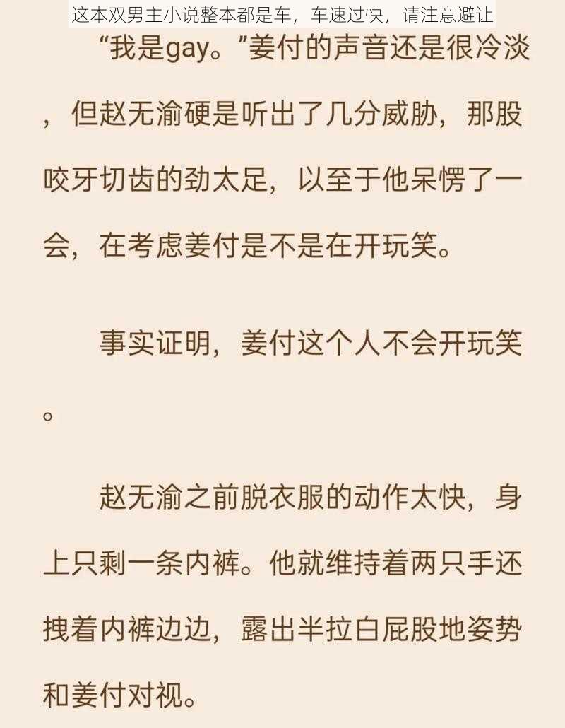 这本双男主小说整本都是车，车速过快，请注意避让